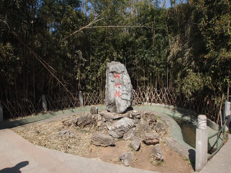 红螺寺御竹林(2012年摄)