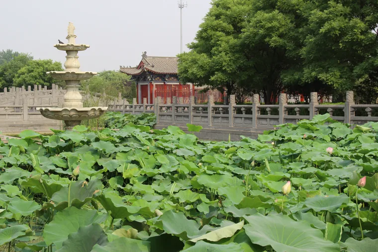 洛阳白马寺池塘与院落（2011年摄）