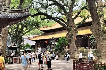 普济禅寺建筑与院落实景